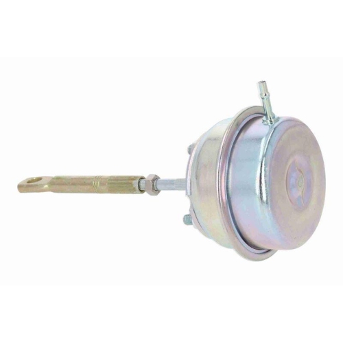 Steuerdose, Lader VEMO V40-40-0004 Original VEMO Qualität für OPEL