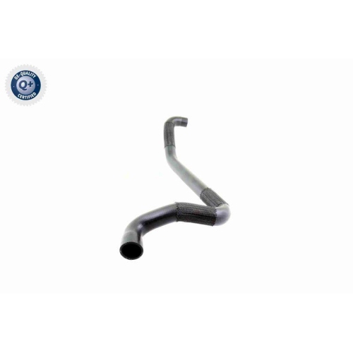 K&uuml;hlerschlauch VAICO V10-2794 Q+, Erstausr&uuml;sterqualit&auml;t f&uuml;r SEAT SKODA VW VAG