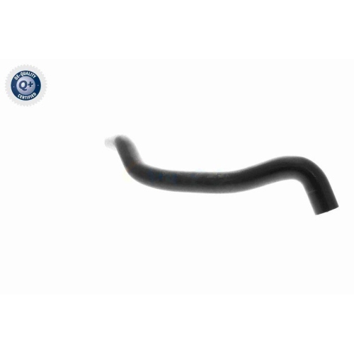 K&uuml;hlerschlauch VAICO V10-2807 Q+, Erstausr&uuml;sterqualit&auml;t f&uuml;r AUDI SEAT SKODA VW