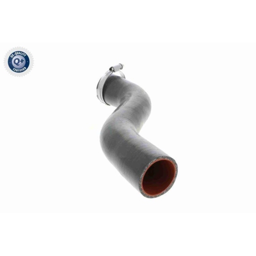 Ladeluftschlauch VAICO V46-0738 Q+, Erstausr&uuml;sterqualit&auml;t f&uuml;r RENAULT