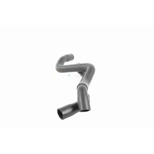 Kühlerschlauch VAICO V10-2726 Q+, Erstausrüsterqualität für AUDI SEAT SKODA VW