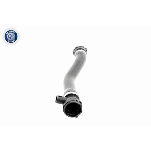 K&uuml;hlerschlauch VAICO V20-0907 Q+, Erstausr&uuml;sterqualit&auml;t f&uuml;r BMW, rechts unten