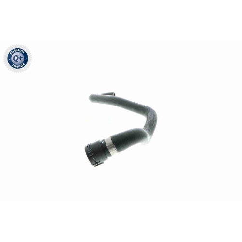 K&uuml;hlerschlauch VAICO V20-0886 Q+, Erstausr&uuml;sterqualit&auml;t f&uuml;r BMW FORD