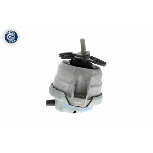 Lagerung, Motor VAICO V20-0498 Q+, Erstausr&uuml;sterqualit&auml;t f&uuml;r BMW, vorne rechts