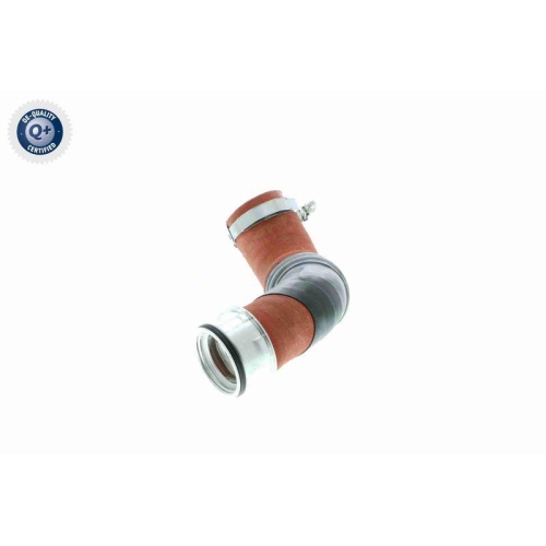 Ladeluftschlauch VAICO V10-2919 Q+, Erstausrüsterqualität für AUDI SEAT SKODA VW