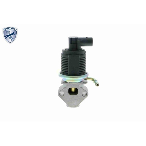 AGR-Ventil VEMO V10-63-0003 EXPERT KITS + f&uuml;r AUDI SEAT SKODA VW VAG