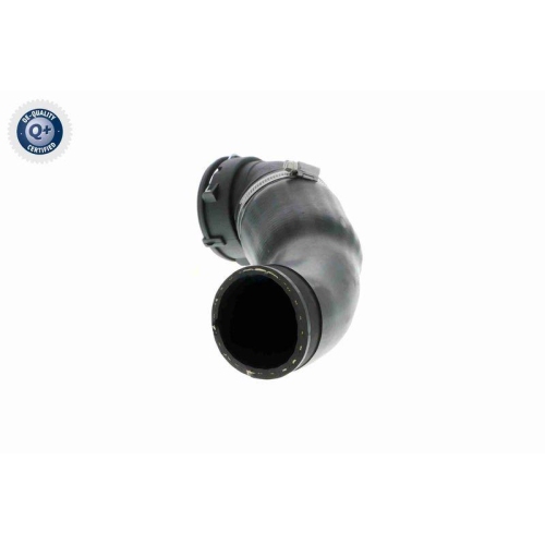 Ladeluftschlauch VAICO V20-2969 Q+, Erstausr&uuml;sterqualit&auml;t f&uuml;r AUDI BMW