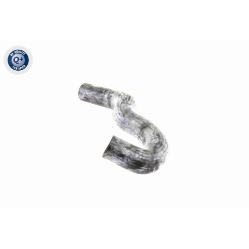 K&uuml;hlerschlauch VAICO V30-0227 Q+, Erstausr&uuml;sterqualit&auml;t f&uuml;r MERCEDES-BENZ, unten