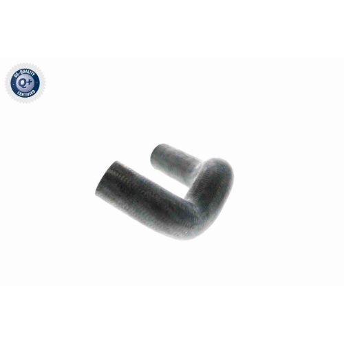 K&uuml;hlerschlauch VAICO V30-0228 Q+, Erstausr&uuml;sterqualit&auml;t f&uuml;r MERCEDES-BENZ, unten