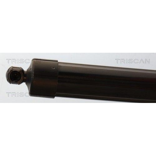 TRISCAN 8710 38301 Gasfeder, Koffer-/Laderaum f&uuml;r CITRO&Euml;N, links