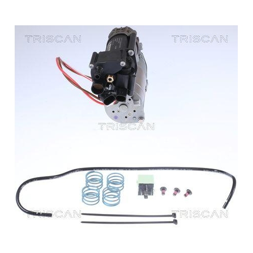 Kompressor, Druckluftanlage TRISCAN 8725 11101 für BMW