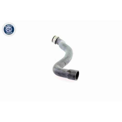 K&uuml;hlerschlauch VAICO V30-1655 Q+, Erstausr&uuml;sterqualit&auml;t f&uuml;r MERCEDES-BENZ, oben