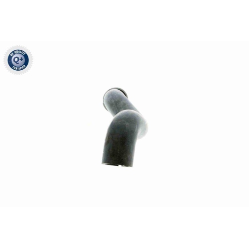 K&uuml;hlerschlauch VAICO V30-1656 Q+, Erstausr&uuml;sterqualit&auml;t f&uuml;r MERCEDES-BENZ, unten