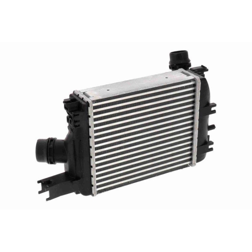 Ladeluftkühler VEMO V21-60-0003 Original VEMO Qualität für RENAULT, links