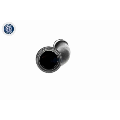 Ladeluftschlauch VAICO V10-4383 Q+, Erstausrüsterqualität für AUDI SEAT SKODA VW