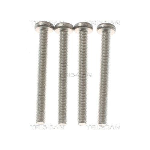 Wasserpumpe, Motork&uuml;hlung TRISCAN 8600 29101 f&uuml;r VW