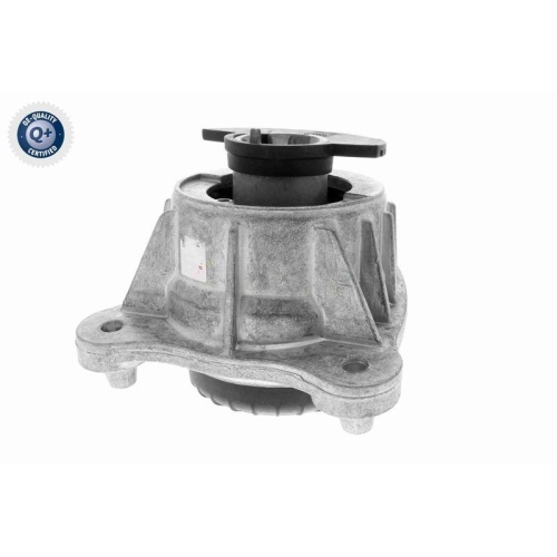 Lagerung, Motor VAICO V30-3092 Q+, Erstausr&uuml;sterqualit&auml;t f&uuml;r MERCEDES-BENZ