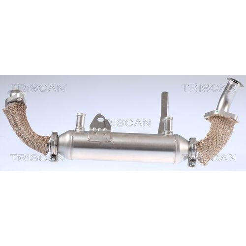 K&uuml;hler, Abgasr&uuml;ckf&uuml;hrung TRISCAN 8813 15071 f&uuml;r FIAT LANCIA