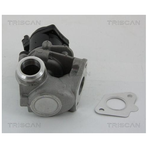 AGR-Ventil TRISCAN 8813 28003 f&uuml;r CITRO&Euml;N FORD PEUGEOT TOYOTA HITACHI