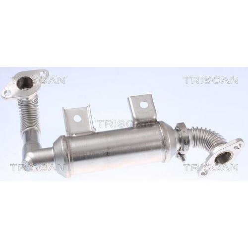 K&uuml;hler, Abgasr&uuml;ckf&uuml;hrung TRISCAN 8813 16103 f&uuml;r FORD