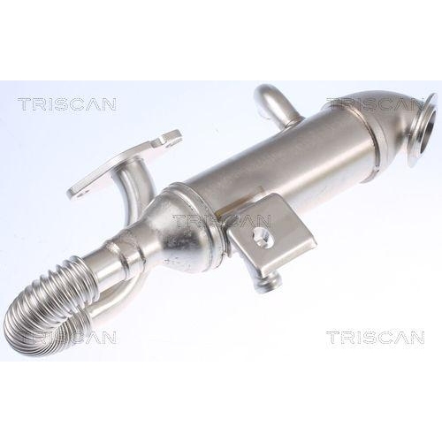 K&uuml;hler, Abgasr&uuml;ckf&uuml;hrung TRISCAN 8813 16105 f&uuml;r FORD