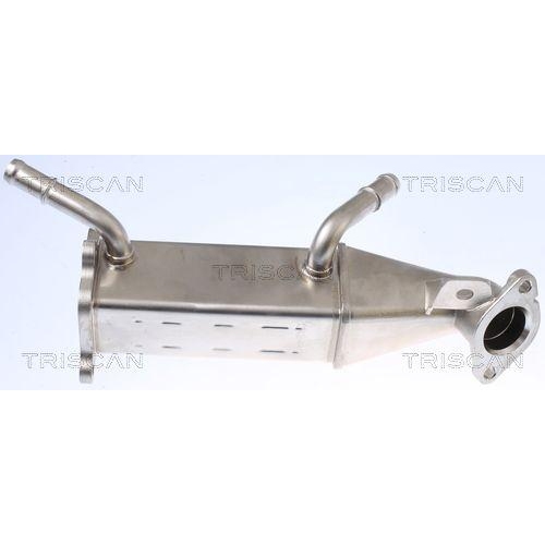 K&uuml;hler, Abgasr&uuml;ckf&uuml;hrung TRISCAN 8813 16106 f&uuml;r CITRO&Euml;N FORD PEUGEOT HITACHI