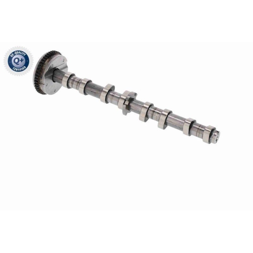 Nockenwellenversteller VAICO V10-5585 Q+, Erstausr&uuml;sterqualit&auml;t f&uuml;r AUDI SEAT VW