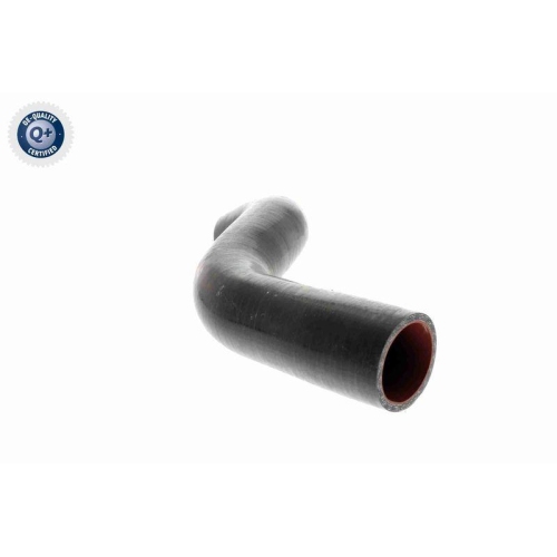 Ladeluftschlauch VAICO V46-0743 Q+, Erstausrüsterqualität für RENAULT