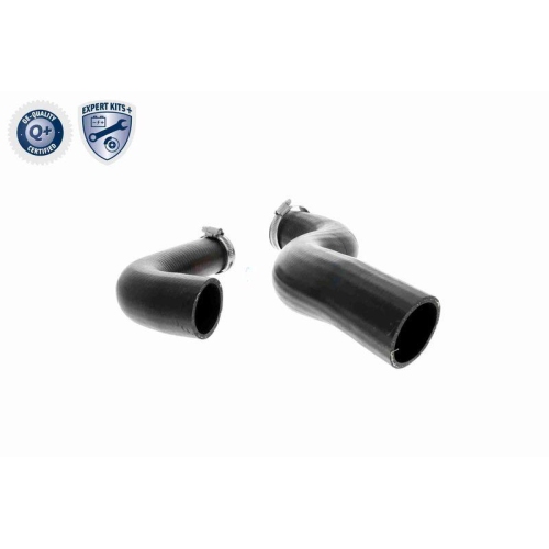 Ladeluftschlauch VAICO V46-0829 EXPERT KITS + f&uuml;r RENAULT