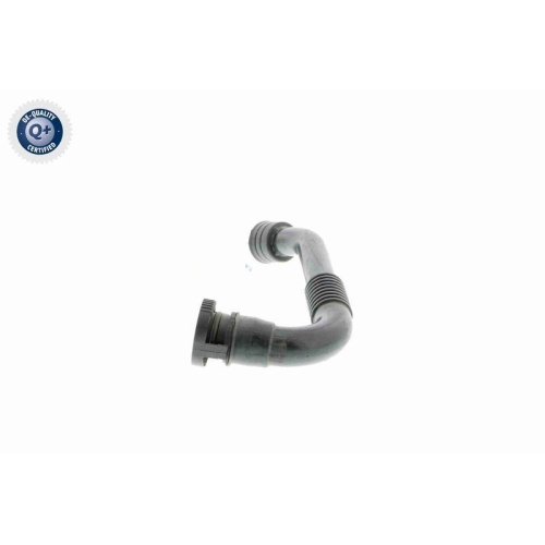 Schlauch, Kurbelgeh&auml;useentl&uuml;ftung VAICO V10-2941 Q+, Erstausr&uuml;sterqualit&auml;t f&uuml;r