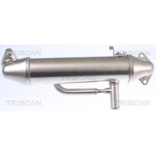 K&uuml;hler, Abgasr&uuml;ckf&uuml;hrung TRISCAN 8813 16108 f&uuml;r FORD