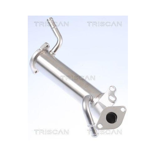 K&uuml;hler, Abgasr&uuml;ckf&uuml;hrung TRISCAN 8813 16110 f&uuml;r FORD