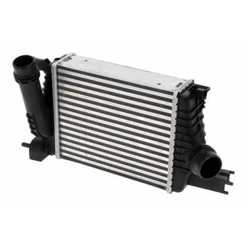 Ladeluftk&uuml;hler VEMO V21-60-0005 Original VEMO Qualit&auml;t f&uuml;r RENAULT