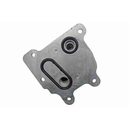ACKOJA A38-60-0021 &Ouml;lk&uuml;hler, Motor&ouml;l Green Mobility Parts f&uuml;r NISSAN