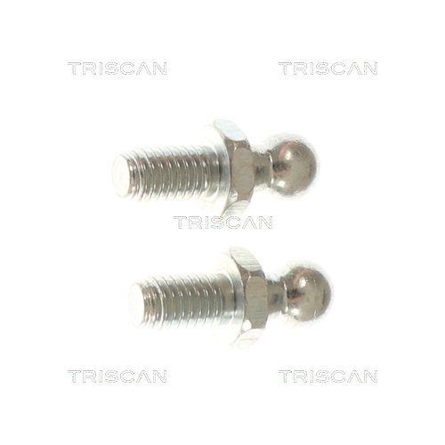 TRISCAN 8710 292091 Gasfeder, Koffer-/Laderaum f&uuml;r AUDI, beidseitig