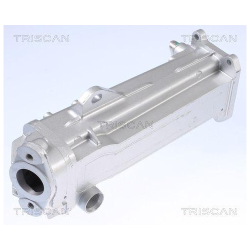 K&uuml;hler, Abgasr&uuml;ckf&uuml;hrung TRISCAN 8813 27104 f&uuml;r VOLVO