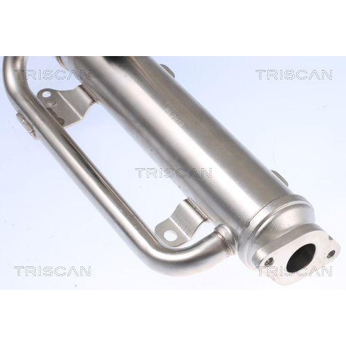 Kühler, Abgasrückführung TRISCAN 8813 29320 für AUDI SEAT SKODA VW HITACHI