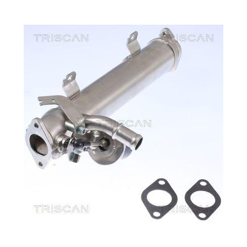 K&uuml;hler, Abgasr&uuml;ckf&uuml;hrung TRISCAN 8813 29322 f&uuml;r AUDI SEAT SKODA VW HITACHI