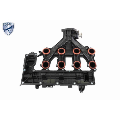 Zylinderkopfhaube VAICO V42-1046 EXPERT KITS + f&uuml;r CITRO&Euml;N FIAT FORD PEUGEOT