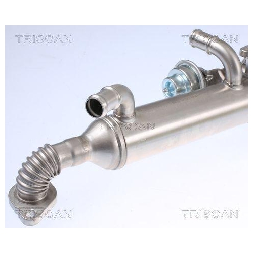 K&uuml;hler, Abgasr&uuml;ckf&uuml;hrung TRISCAN 8813 29326 f&uuml;r VW HITACHI