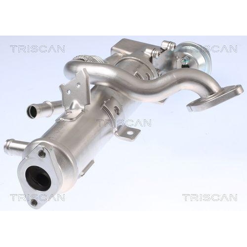 K&uuml;hler, Abgasr&uuml;ckf&uuml;hrung TRISCAN 8813 29329 f&uuml;r AUDI SEAT