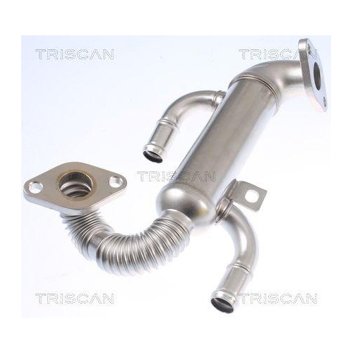 K&uuml;hler, Abgasr&uuml;ckf&uuml;hrung TRISCAN 8813 29332 f&uuml;r SEAT SKODA VW HITACHI