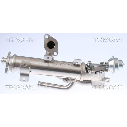 Kühler, Abgasrückführung TRISCAN 8813 29333 für AUDI HITACHI