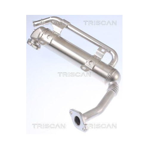 K&uuml;hler, Abgasr&uuml;ckf&uuml;hrung TRISCAN 8813 29335 f&uuml;r AUDI SEAT SKODA VW