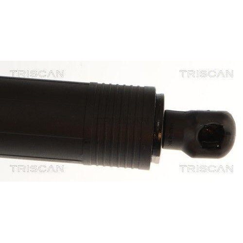 TRISCAN 8710 29339 Gasfeder, Koffer-/Laderaum f&uuml;r CUPRA, links, rechts