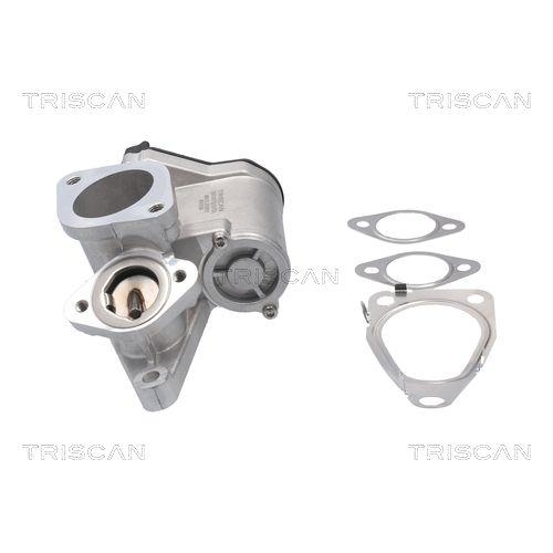 AGR-Ventil TRISCAN 8813 25201 f&uuml;r RENAULT SUZUKI