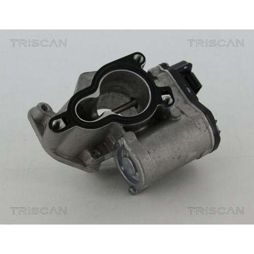 AGR-Ventil TRISCAN 8813 25203 f&uuml;r RENAULT