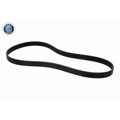 Keilrippenriemen VAICO V24-1209 Q+, Erstausr&uuml;sterqualit&auml;t f&uuml;r FIAT