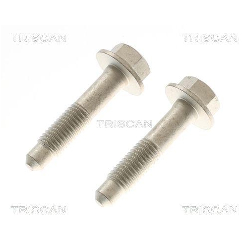 Sto&szlig;d&auml;mpfer TRISCAN 8705 81201 f&uuml;r TESLA