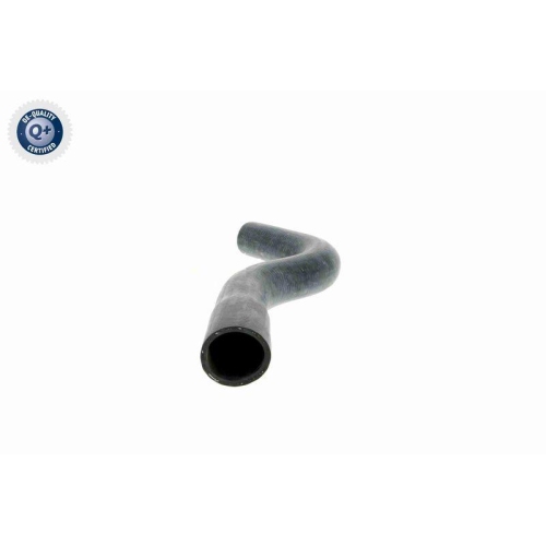 Kühlerschlauch VAICO V30-0247 Q+, Erstausrüsterqualität für MERCEDES-BENZ, oben